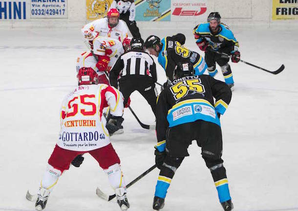 varese killer bees cramosina hockey su ghiaccio