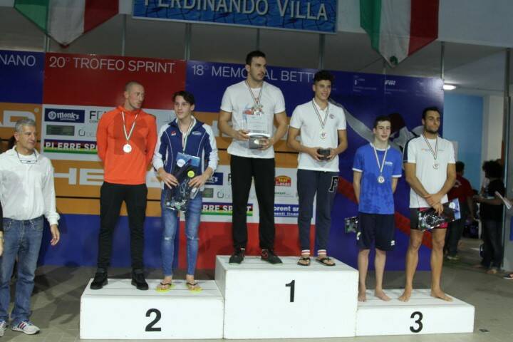 7453   Copia