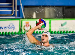 antonio petkovic bpm sport management