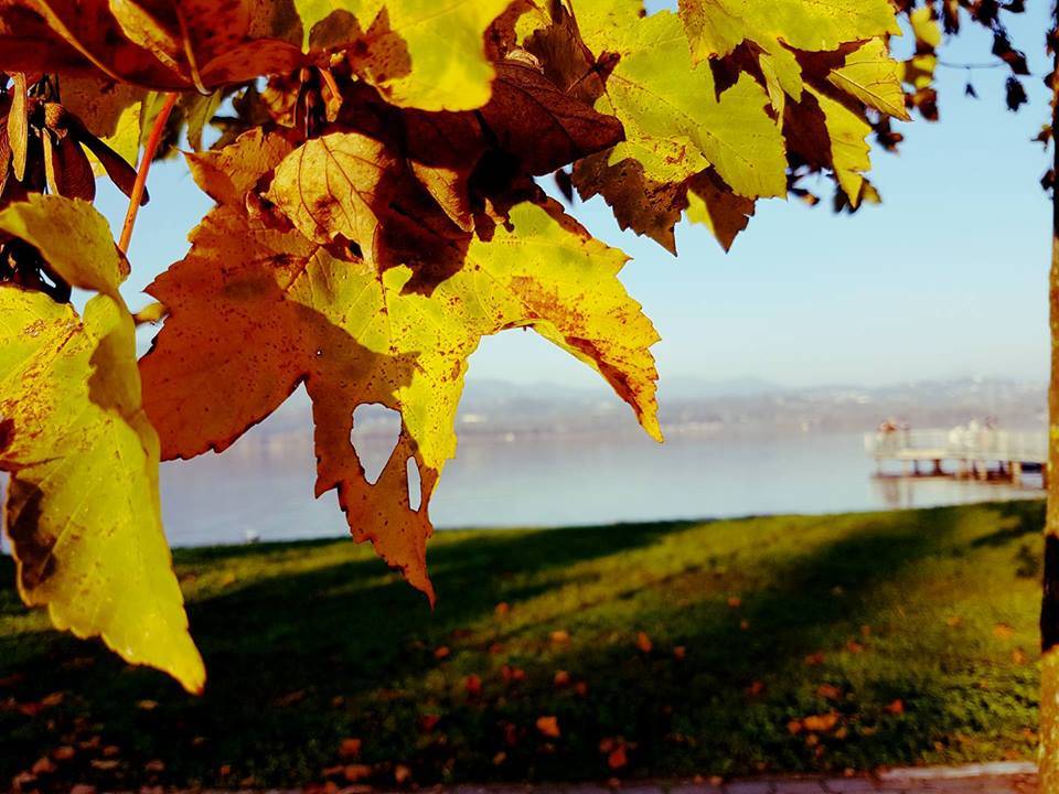 Autunno a Bodio (foto di Clara Comolli)