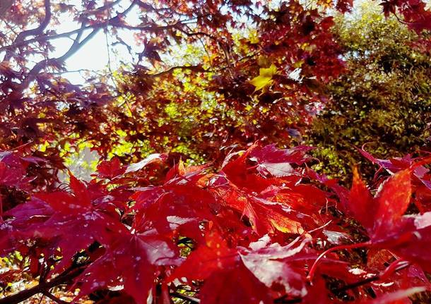 L’autunno da Bodio