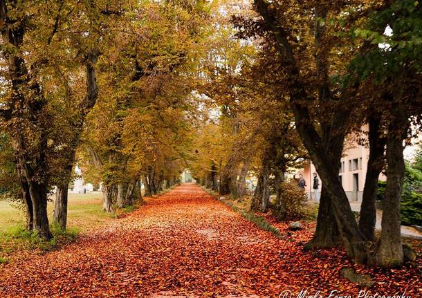 Autunno a Taino foto di Mirko Forza