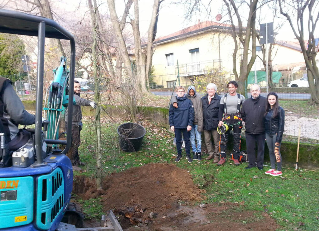 Bisuschio - festa degli alberi 2016