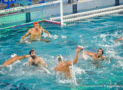 bpm sport management