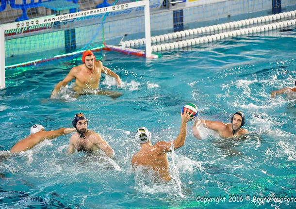 bpm sport management