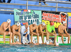 bpm sport management gu baldineti timeout pallanuoto
