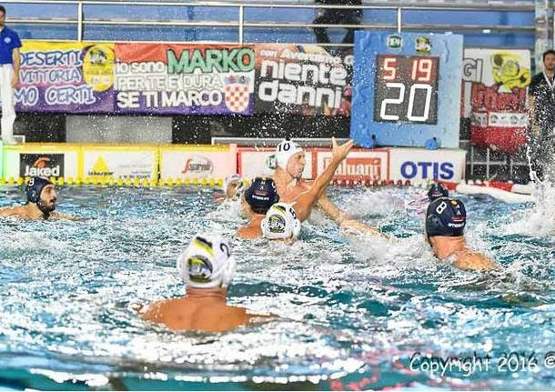 bpm sport management pallanuoto