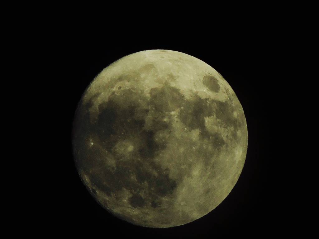 Moonlight