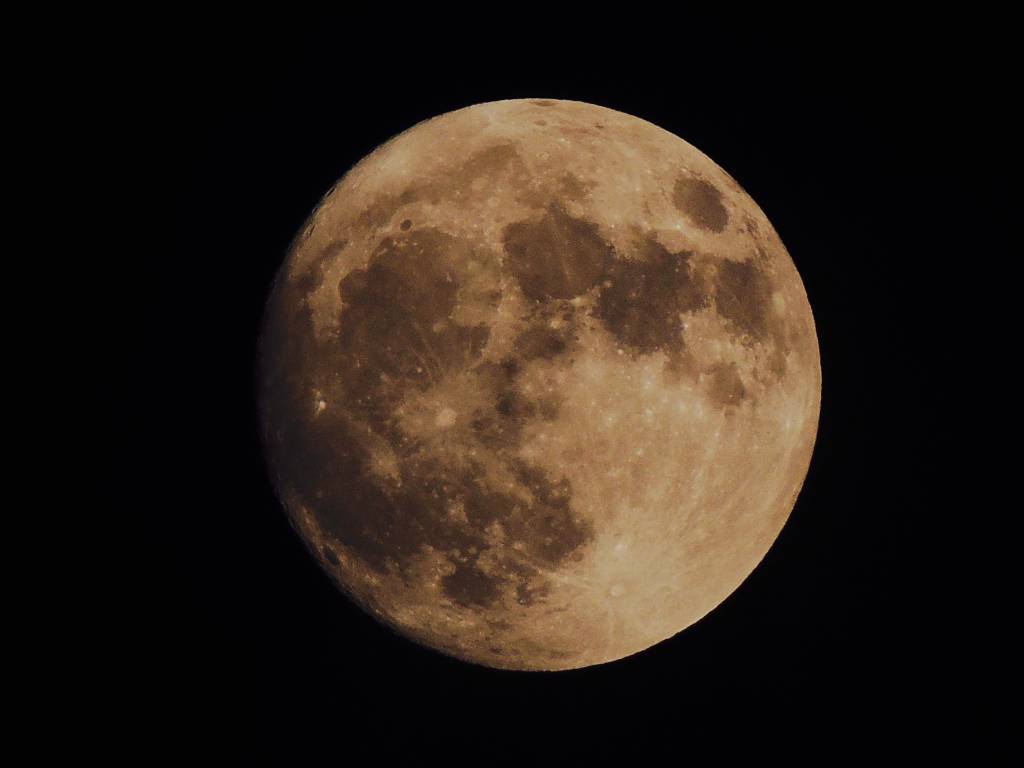 Moonlight