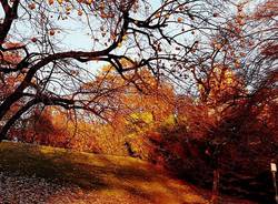 L\'autunno a Villa Toeplitz