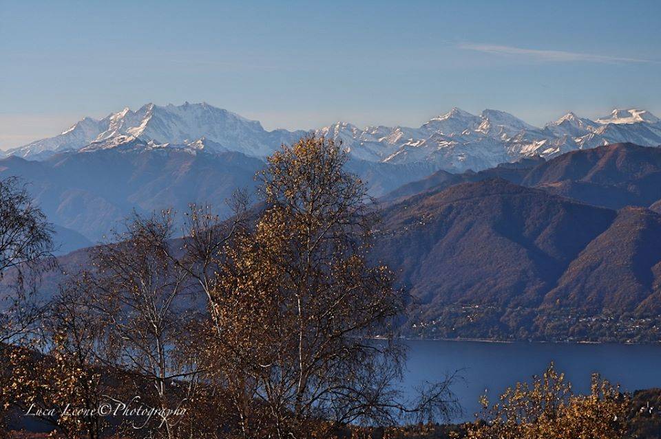 Il Rosa con il Verbano