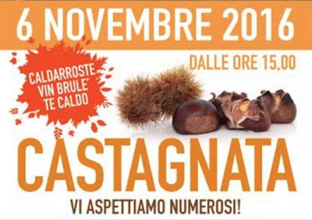 castagnata tornavento