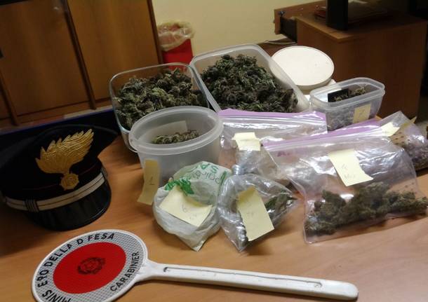 droga marijuana carabinieri