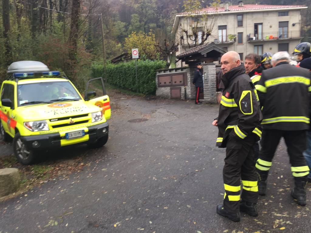 Gatti in mostra a MalpensaFiere