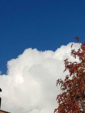 I colori di novembre