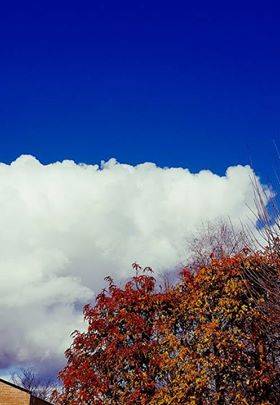 I colori di novembre