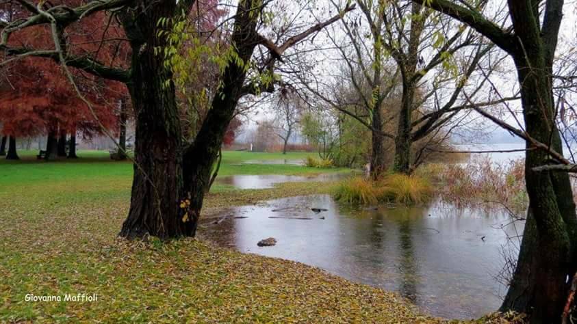 Il lago di Varese. Autunno alla Schiranna (foto di Giovanna Maffioli)