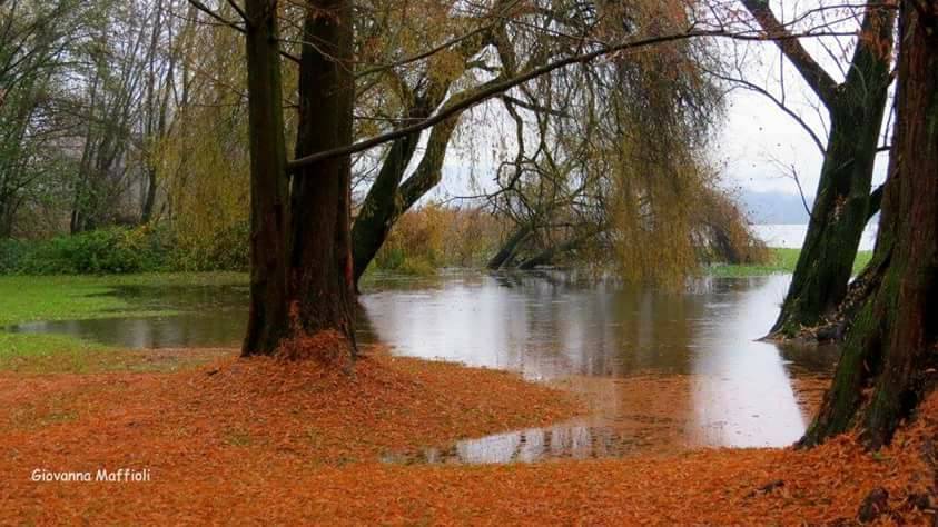 Il lago di Varese. Autunno alla Schiranna (foto di Giovanna Maffioli)