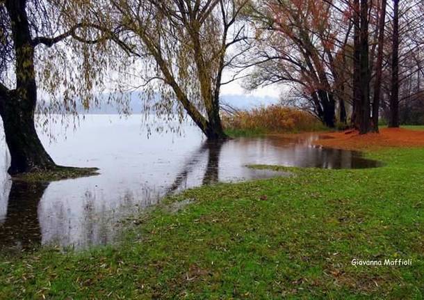 Il lago di Varese. Autunno alla Schiranna