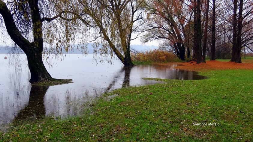 Il lago di Varese. Autunno alla Schiranna (foto di Giovanna Maffioli)