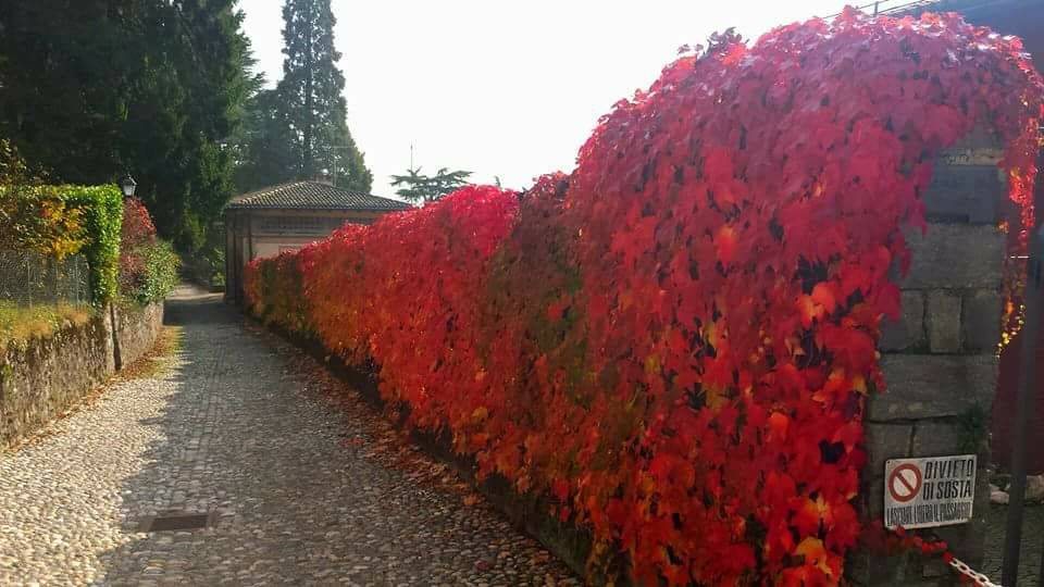 L'autunno nelle foto dei lettori