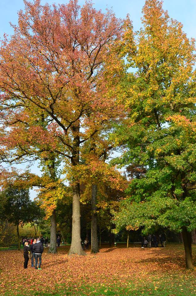 L'autunno nelle foto dei lettori