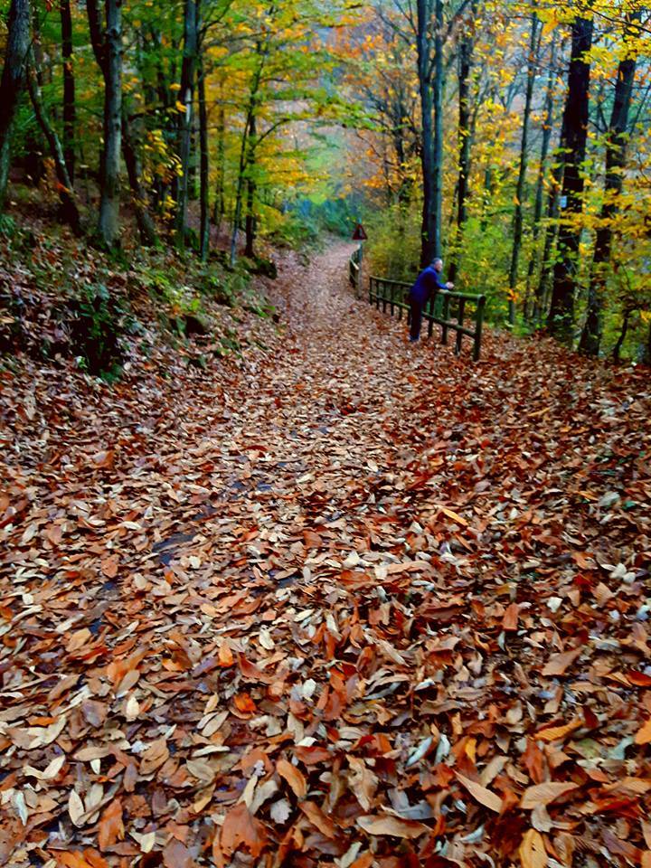 L'autunno nelle foto dei lettori