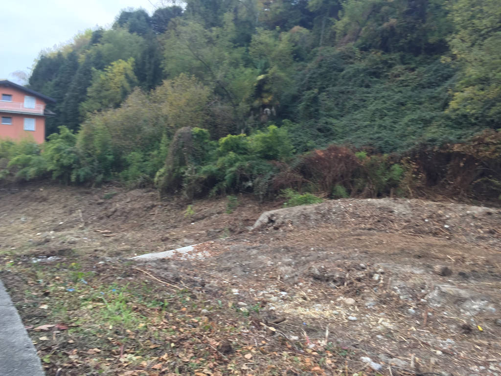 Lavori torrente porto valtravaglia 