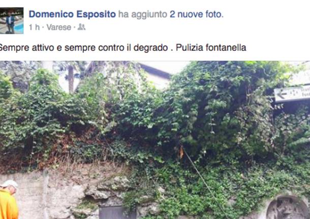 Mimmo Esposito Forza Italia