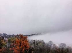 Nebbia in viale Europa