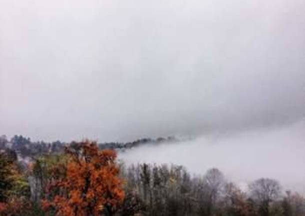 Nebbia in viale Europa