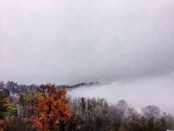 Nebbia in viale Europa