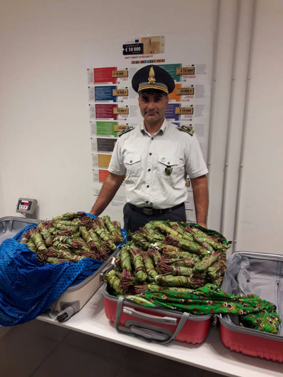 Operazione Bin Sorprise