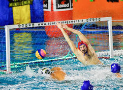 pallanuoto sport management osc budapest
