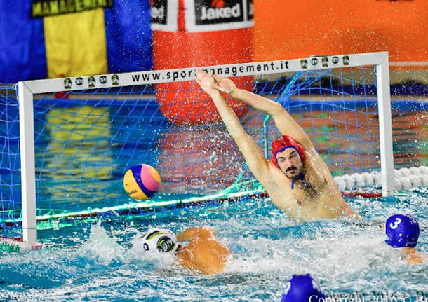 pallanuoto sport management osc budapest