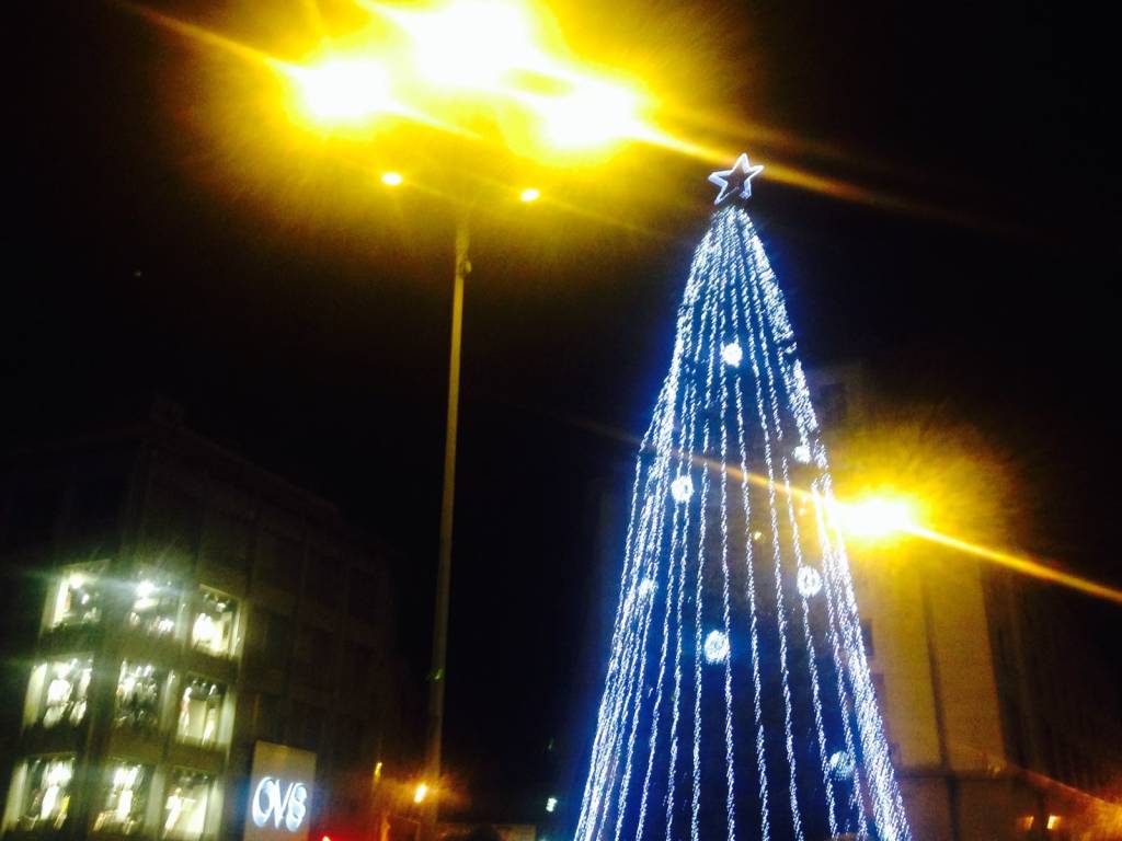 Si accende l'albero di Natale in piazza Monte Grappa a Varese