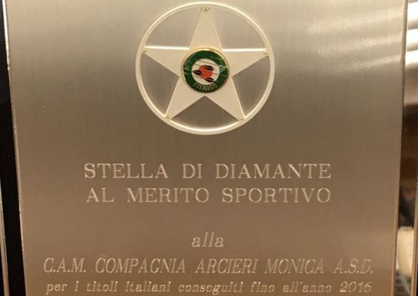 Stella di diamante e gara compagnia arcieri monica 2016