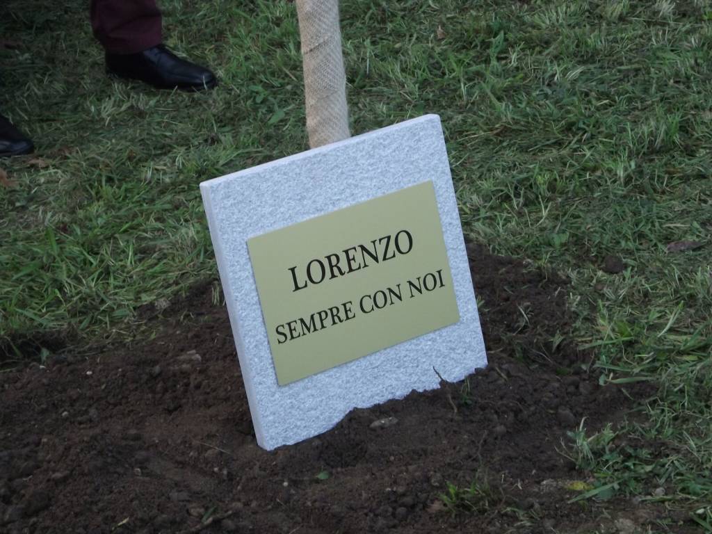 Un albero per Lorenzo