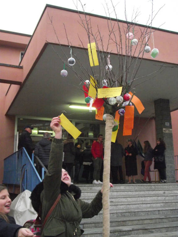 Un albero per Lorenzo