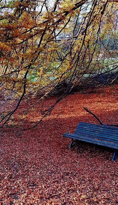 Villa Toeplitz d'autunno