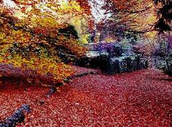 Villa Toeplitz d'autunno