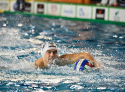 antonio petkovic bpm sport management