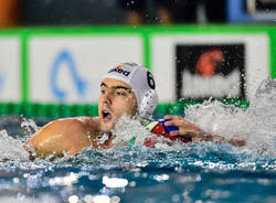 antonio petkovic pallanuoto bpm sport management