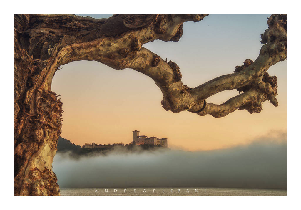 Arona d'inverno