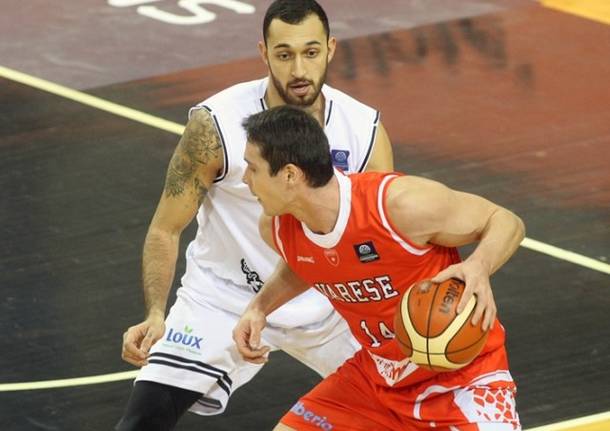 basket kangur