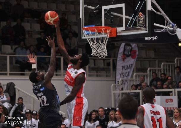 basket pelle