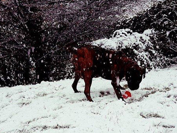 La (prima) neve dei lettori