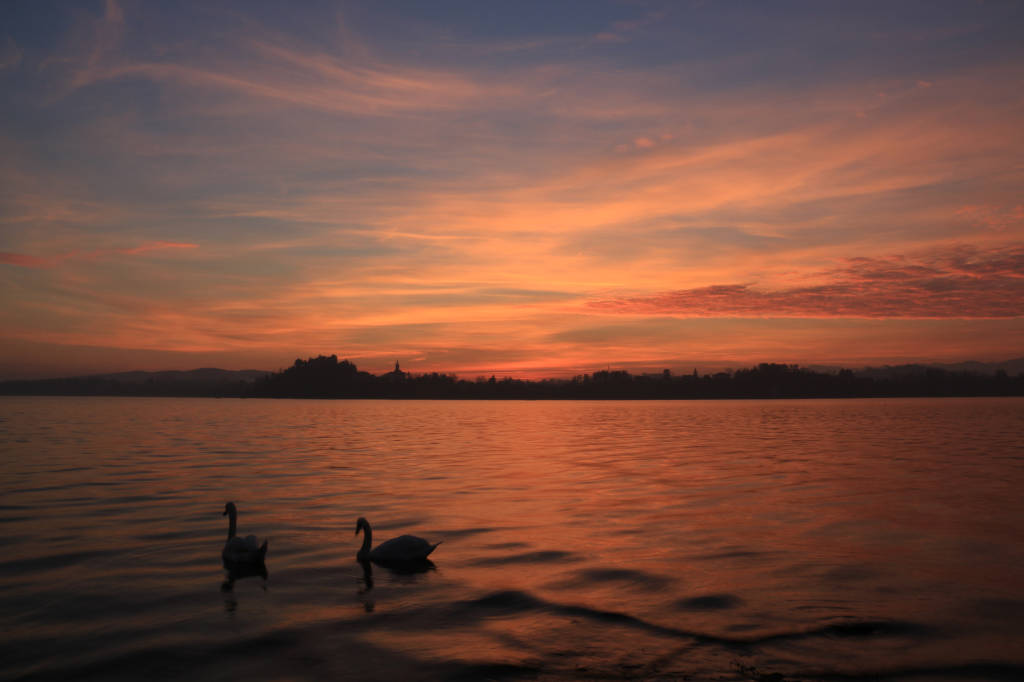 Magia di colori su Biandronno