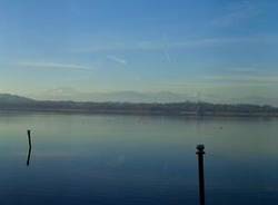 Dicembre in Palude Brabbia