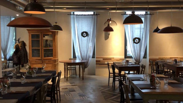 Alla scoperta dello Spitz Varese